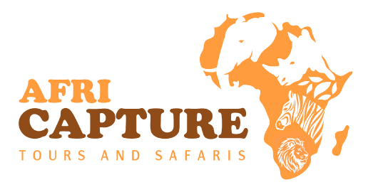 Africapture Tours and Safaris